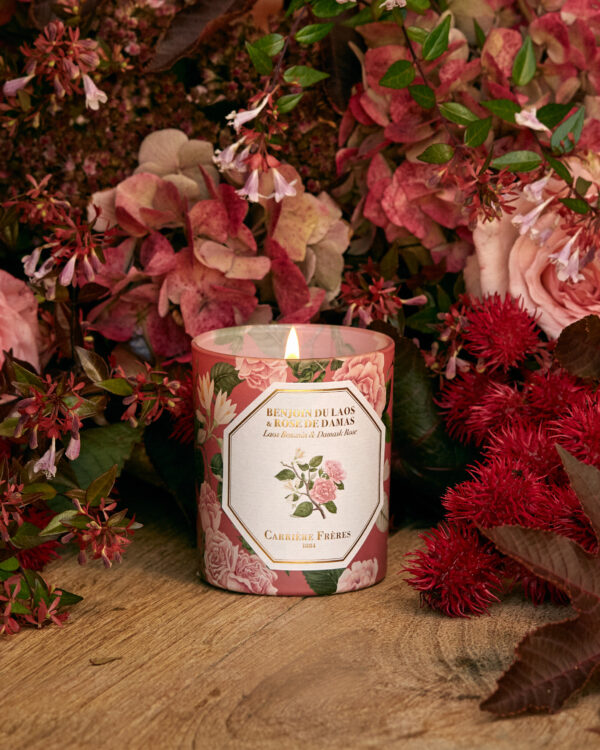 BENJOIN ROSE – The Scented Candle