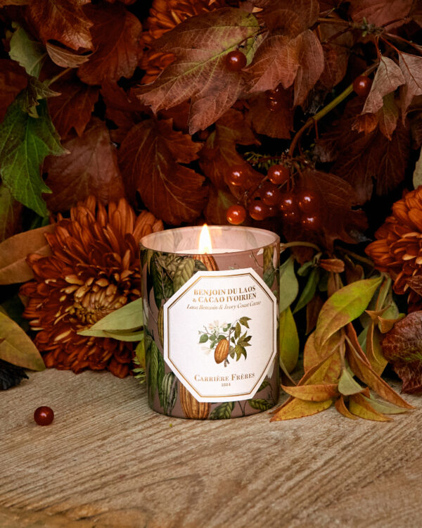 BENJOIN COCA – The Scented Candle