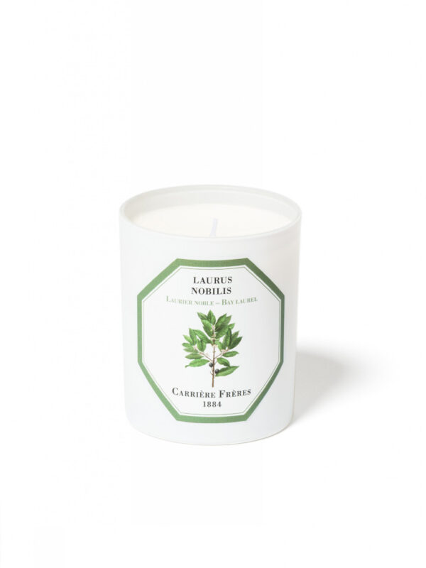 BAY LAUREL – The Scented Candle