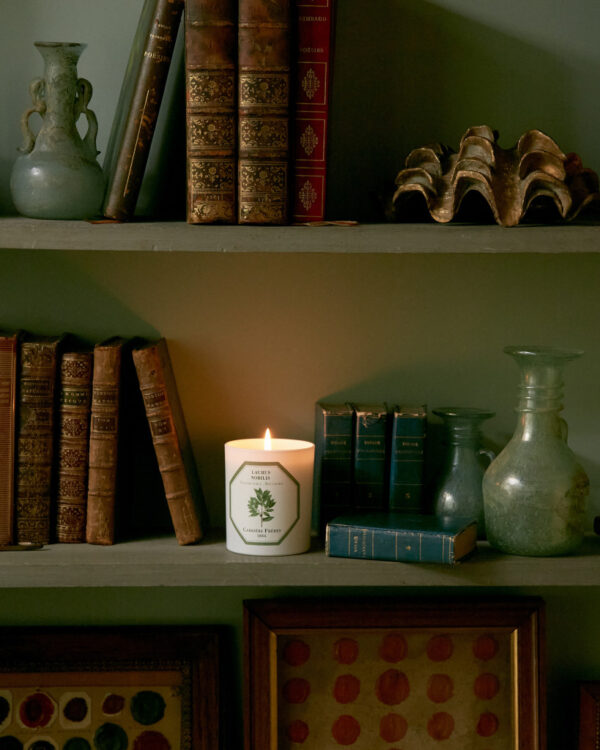 BAY LAUREL – The Scented Candle