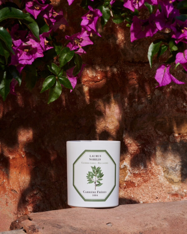 BAY LAUREL – The Scented Candle