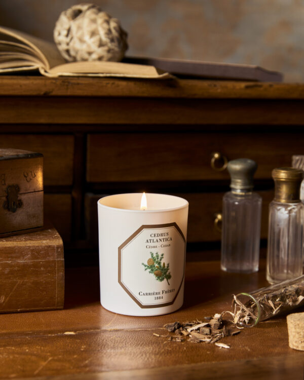 CEDAR – The Scented Candle