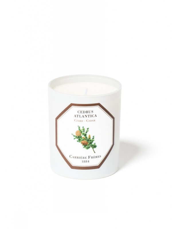 CEDAR – The Scented Candle