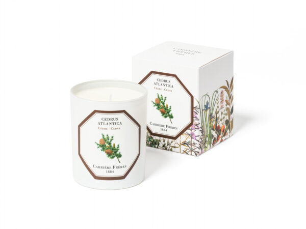 CEDAR – The Scented Candle