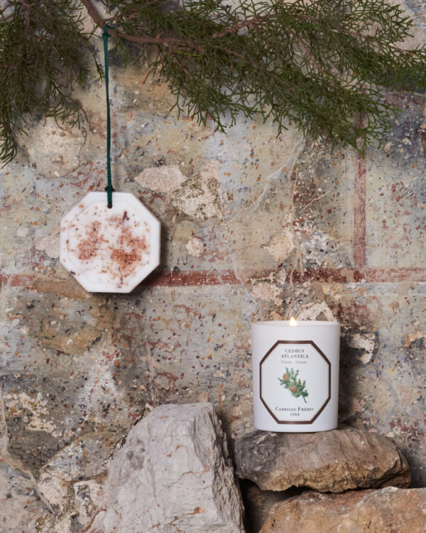 CEDAR – The Scented Candle
