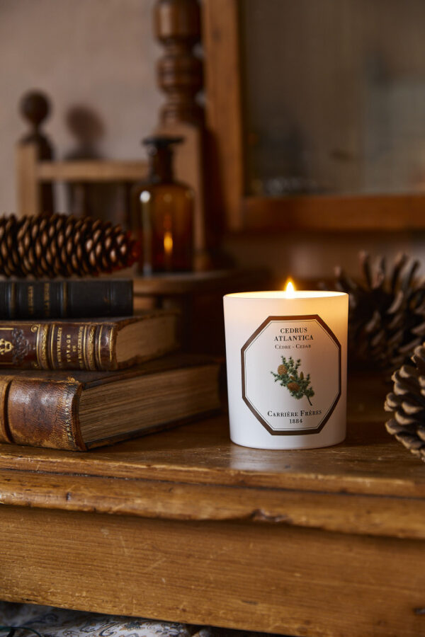CEDAR – The Scented Candle