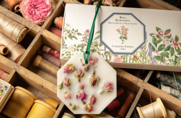 DAMASK ROSE – The Botanical Palets