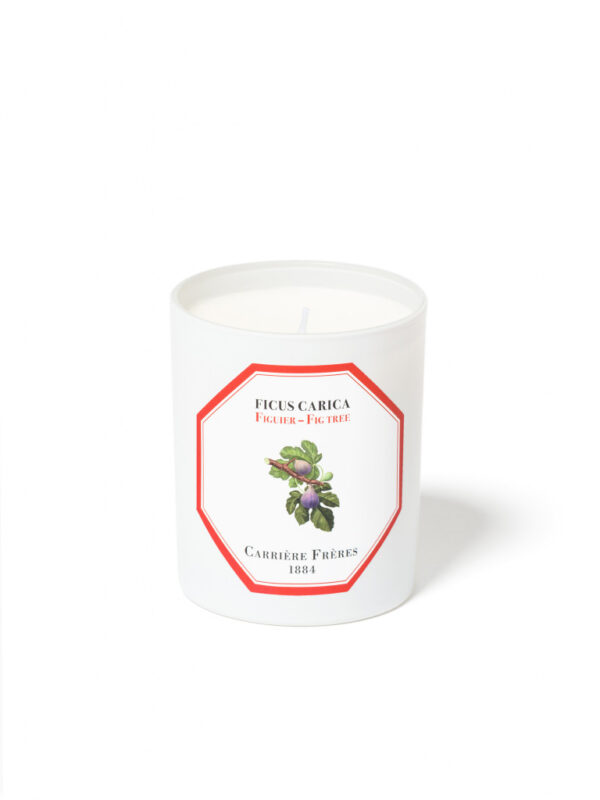 FIG TREE – The Scented Candle
