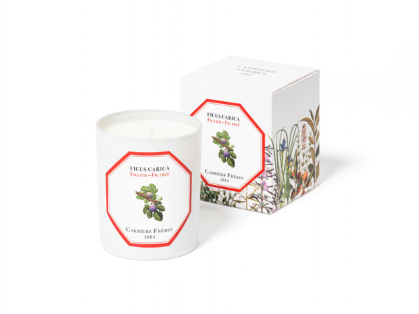 FIG TREE – The Scented Candle
