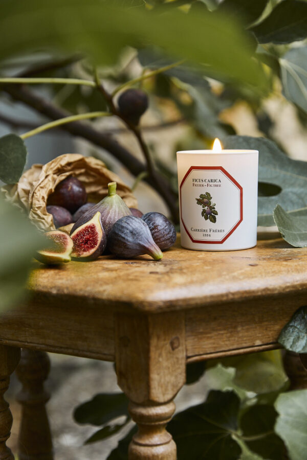 FIG TREE – The Scented Candle
