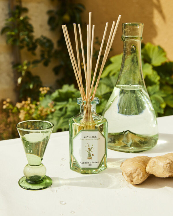 GINGER - The Diffuser