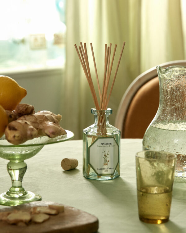 GINGER - The Diffuser