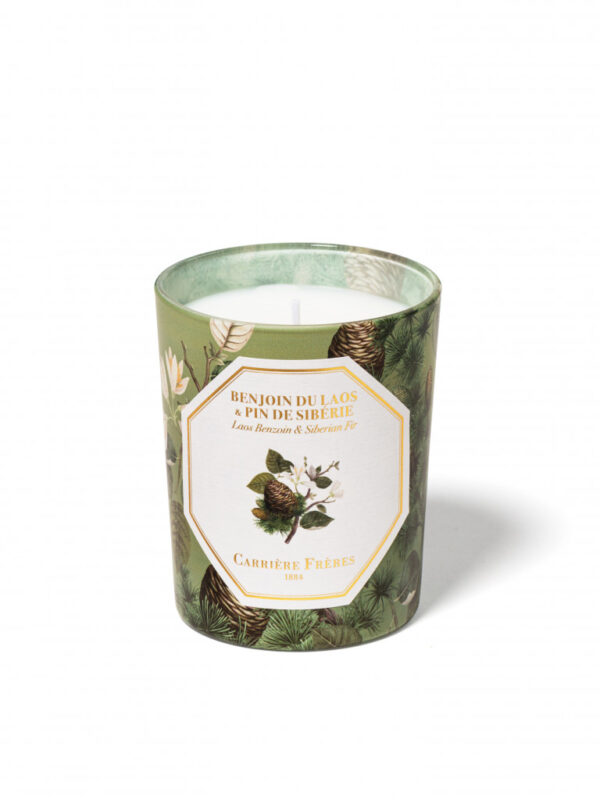 BENJOIN FIR – The Scented Candle