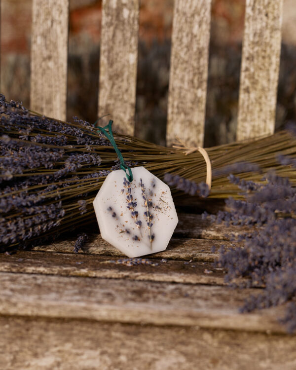 LAVENDER – The Botanical Palets