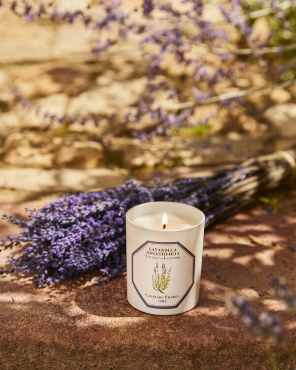 LAVENDER – The Scented Candle