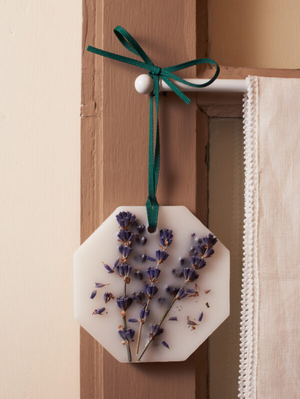 LAVENDER – The Botanical Palets