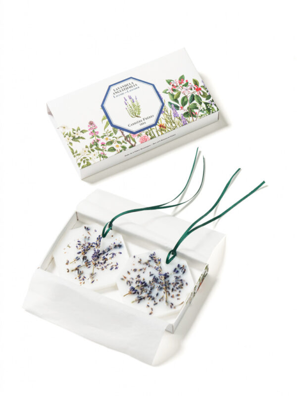 LAVENDER – The Botanical Palets