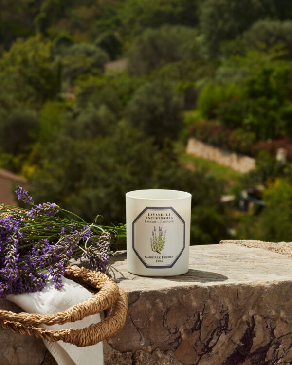 LAVENDER – The Scented Candle