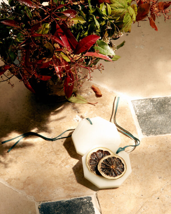 siracusa-lemon-the-botanical-pallets
