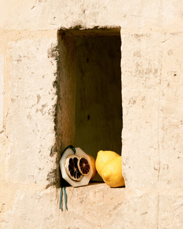 siracusa-lemon-the-botanical-pallets