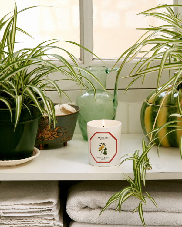 MELON – The Scented Candle