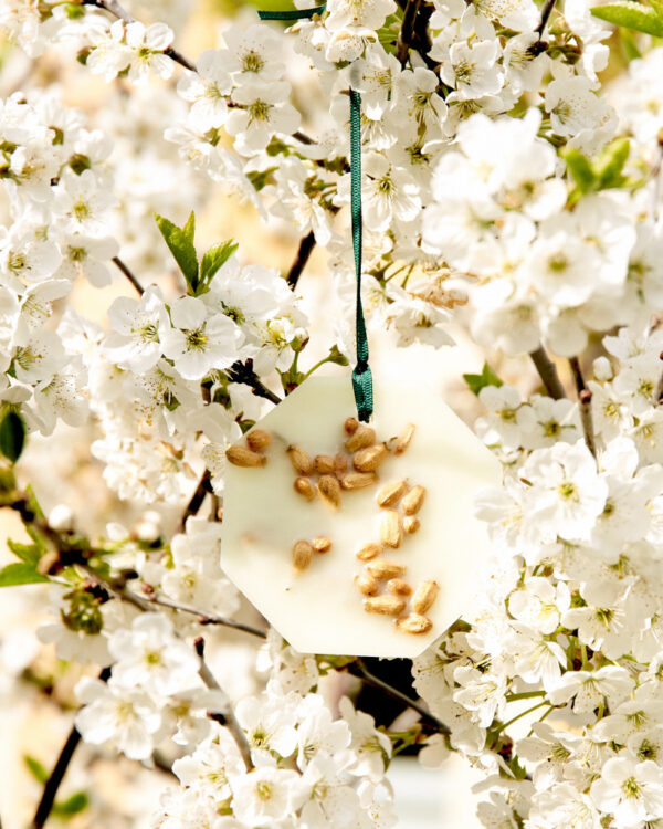 ORANGE BLOSSOM – The Botanical Palets
