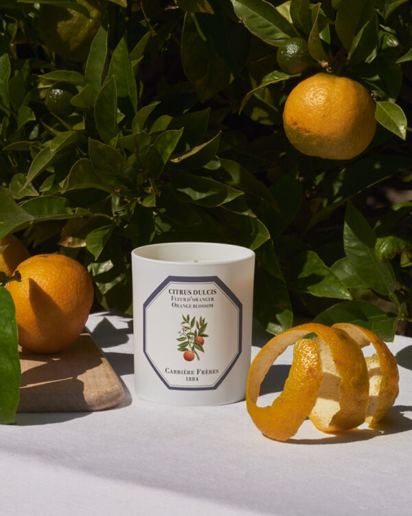 ORANGE BLOSSOM – The Scented Candle