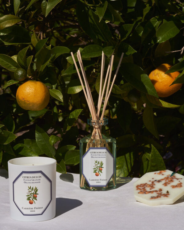 ORANGE BLOSSOM - The Diffuser