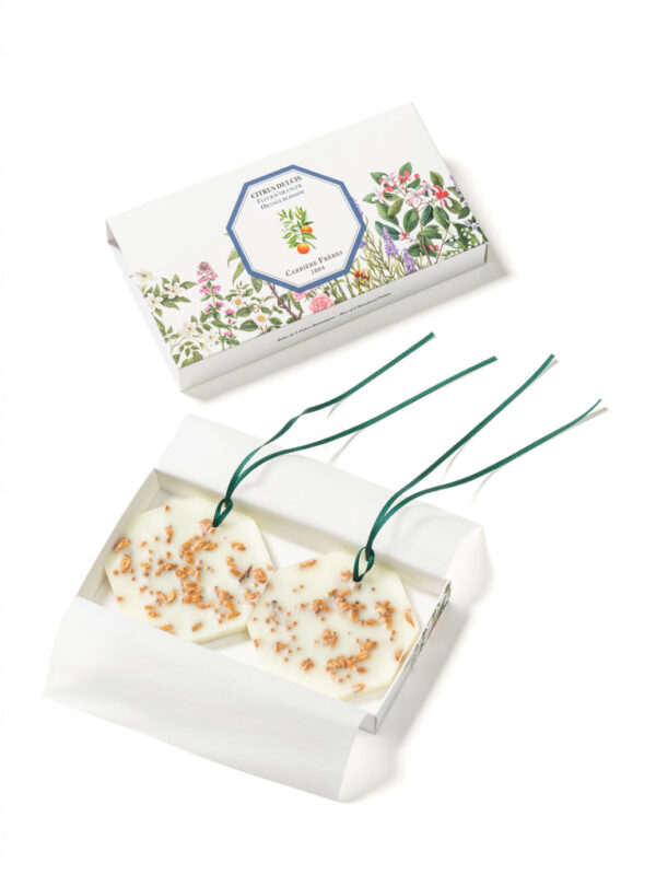 ORANGE BLOSSOM – The Botanical Palets