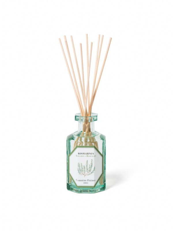 ROSEMARY - The Diffuser