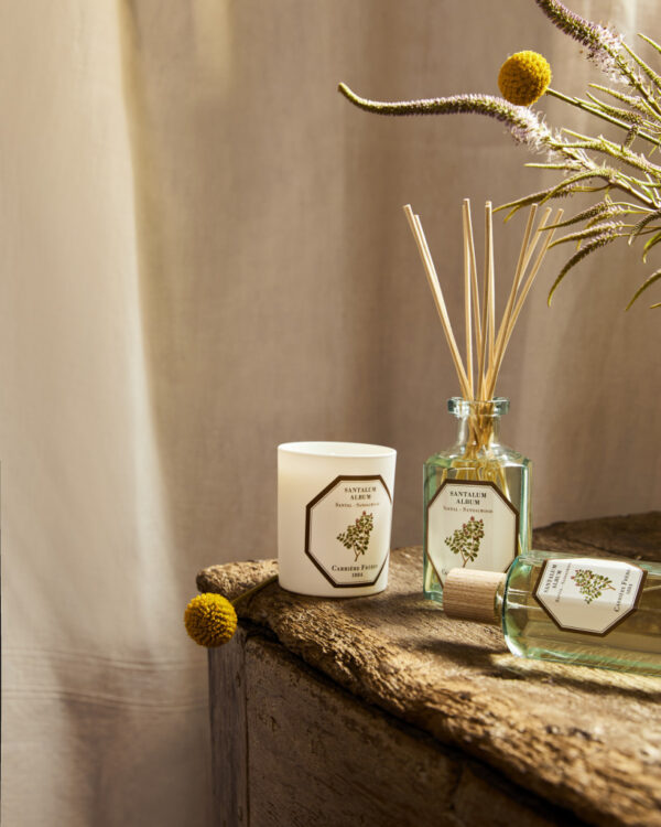 SANDALWOOD - The Diffuser