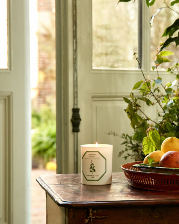 SPEARMINT – The Scented Candle