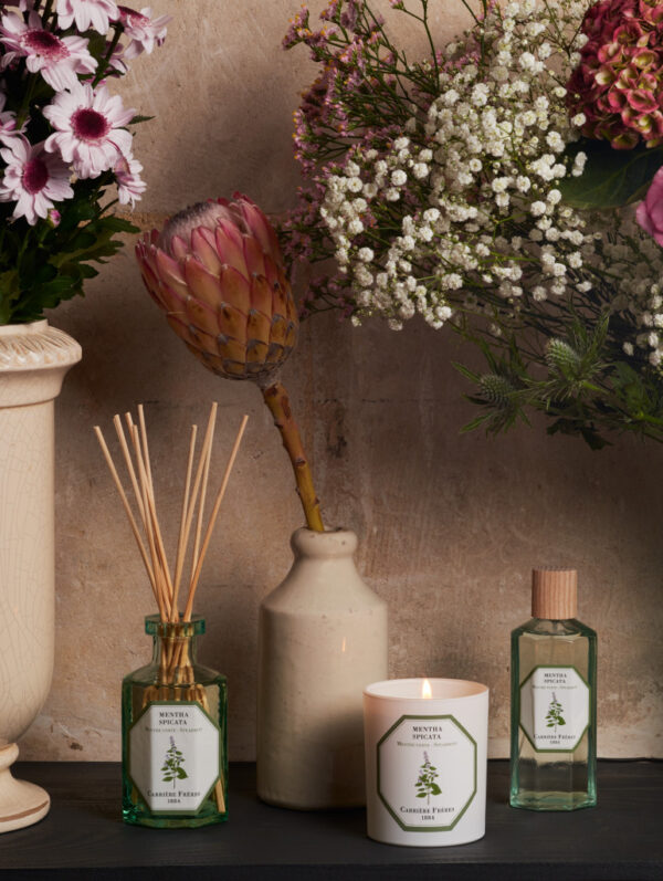 SPEARMINT – The Room Spray