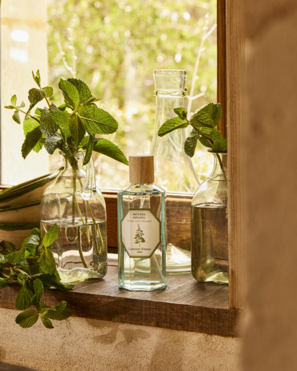 SPEARMINT – The Room Spray