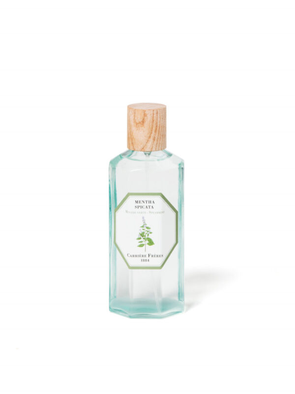 SPEARMINT – The Room Spray