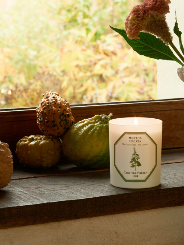 SPEARMINT – The Scented Candle