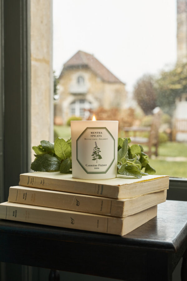 SPEARMINT – The Scented Candle