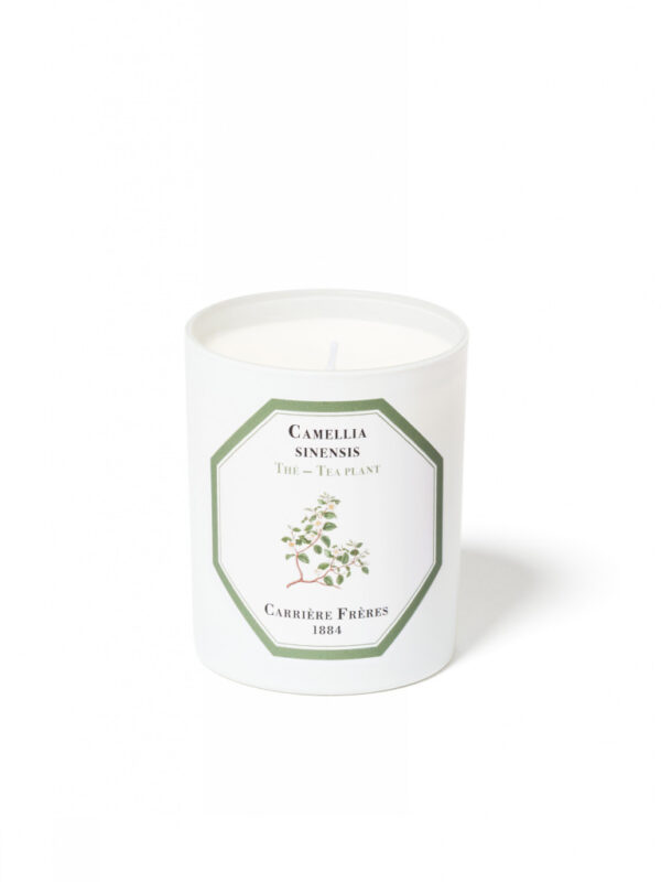 TEA PLANT – The Scented Candle