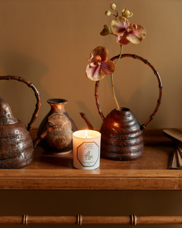 TEA PLANT – The Scented Candle