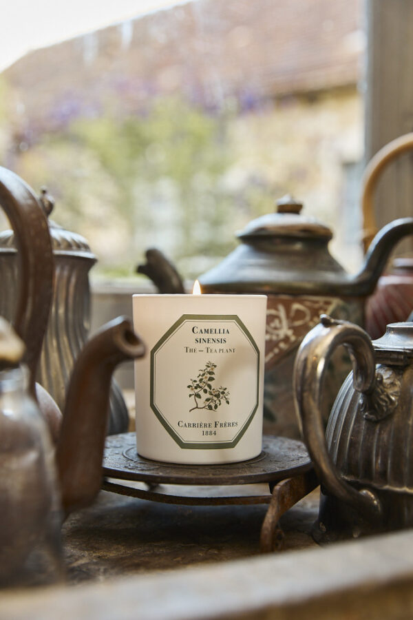 TEA PLANT – The Scented Candle