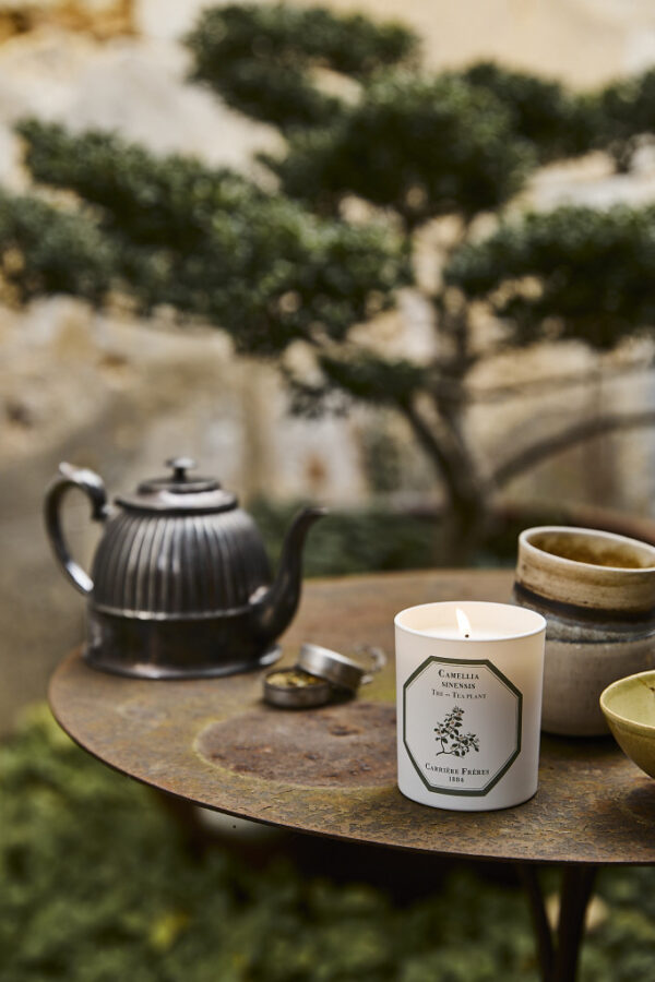 TEA PLANT – The Scented Candle