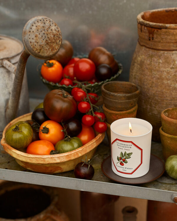 TOMATO – The Scented Candle