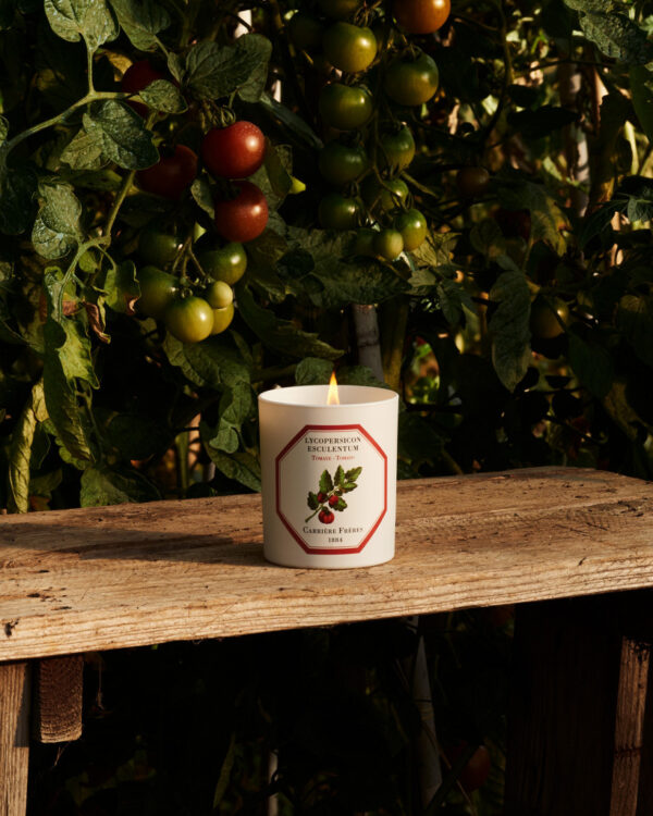 TOMATO – The Scented Candle