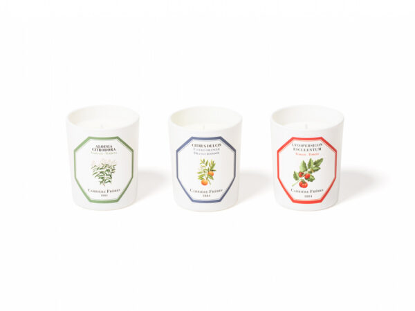botanical-set-3-scented-candles