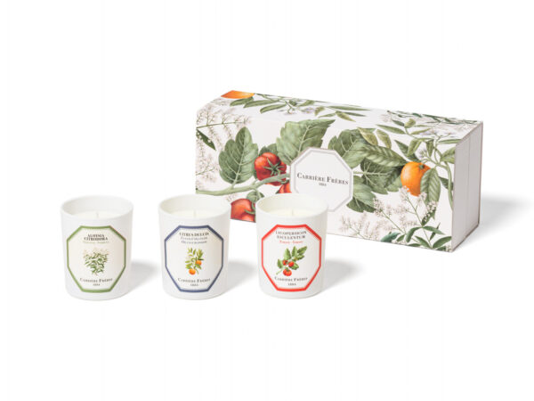 botanical-set-3-scented-candles