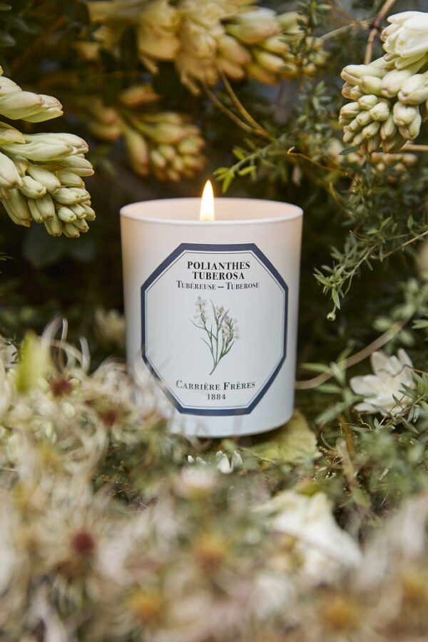 TUBEROSE– The Scented Candle