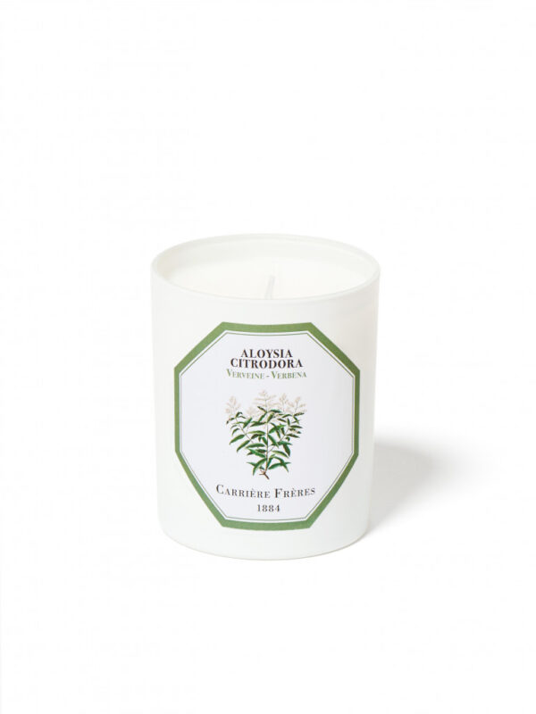 VERBENA – The Scented Candle