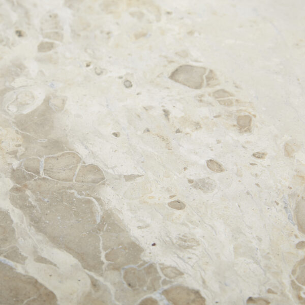 Ridg Round Marbel PI-Fossil