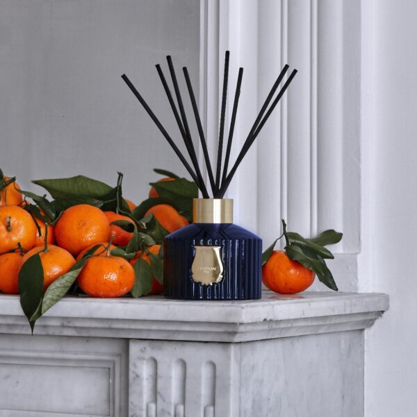 REGGIO - The Diffuser