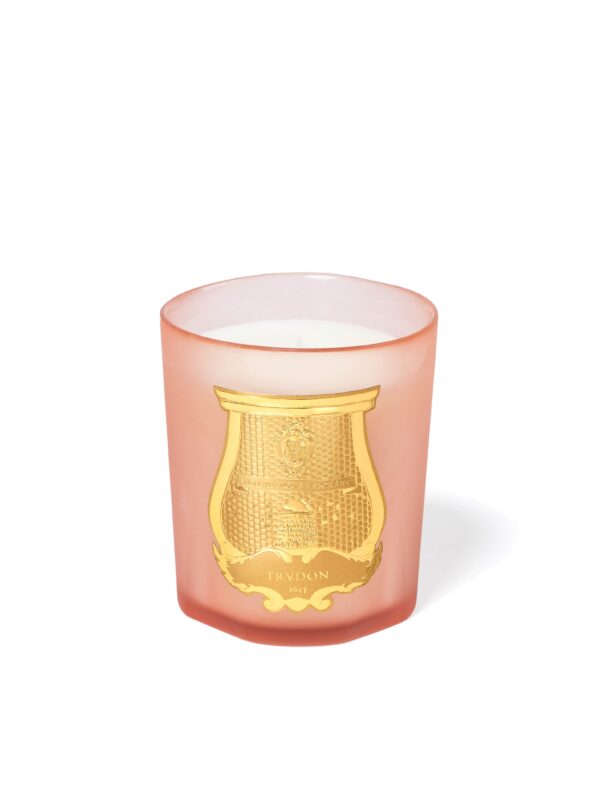 TUILERIES  - The Classic Candle